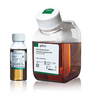 Tet-System Approved FBS Two different sized bottles of Gibco Tet-System Approved FBS