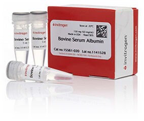 Bovine serum albumin Vials of bovine serum albumin product