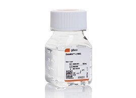 Gibco GlutaMAX Supplement Product image of Gibco GlutaMAX Supplement