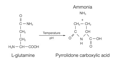 pyrrolidone-carboxylic-acid pyrrolidone-carboxylic-acid