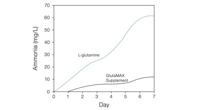 ammonia-levels ammonia-levels
