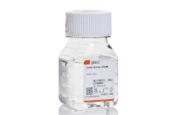 Gibco Sodium Pyruvate Product photo of Gibco Sodium Pyruvate