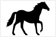 Horse serum Horse icon