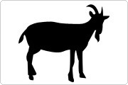Goat serum Goat icon