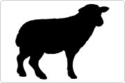 Sheep serum Sheep icon