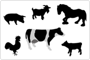 Multiple sources of other animal sera Silhouettes of multiple sources of other animal sera, including a pig, goat, horse, chicken, cow, and calf