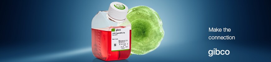 Trypsin Product image of trypsin