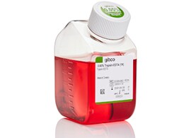 Trypsin Product image of trypsin