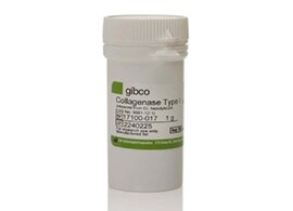 Collagenase type IV Collagenase type IV product photo