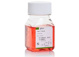 Trypsin EDTA Trypsin-EDTA (0.25%), phenol red: a medium clear bottle with white and green labeling