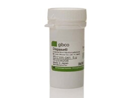 Dispase Dispase II, powder in a small, white bottle with white and green labeling