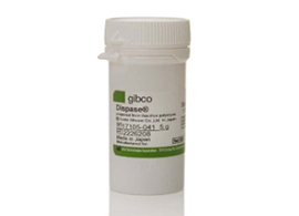 Dispase Dispase II, powder in a small, white bottle with white and green labeling