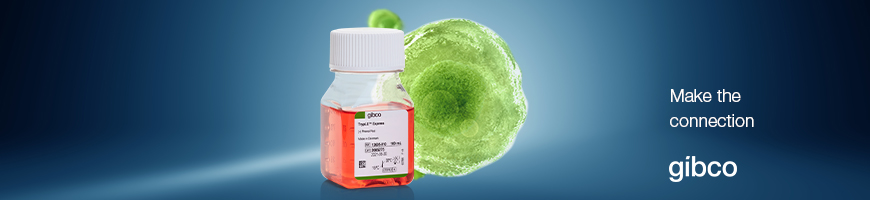 TrypLE reagent TrypLE reagent product image