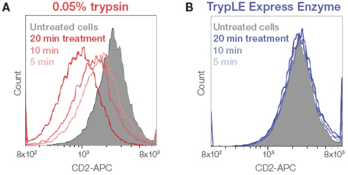 TrypLE Express reagent vs trypsin CD2-APC Histogram showing how TrypLE Express reagent preserves CD2-APC better than trypsin