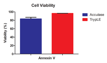 TrypLE reagent helps preserve cell viability Bar chart of viability vs annexin V when using TrypLE enzymes or Accutase