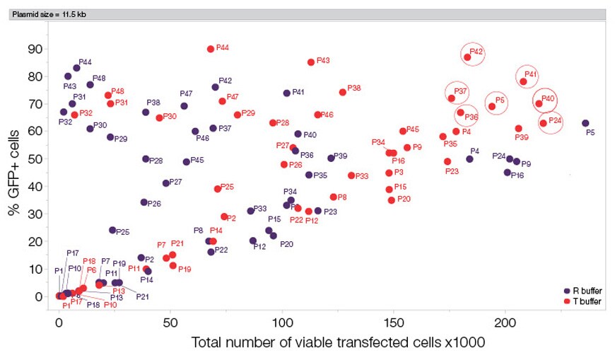 Neon NxT 8-channel pipette transfection results graph of GFP cells vs total number of viable transfected cells