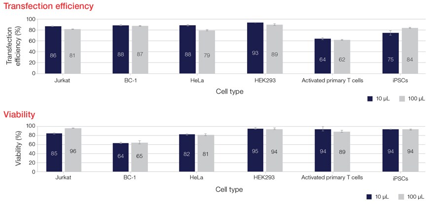Cell viability following electroporation on the Neon NxT Electroporation System Graphed results from transfection efficiency and cell viability study