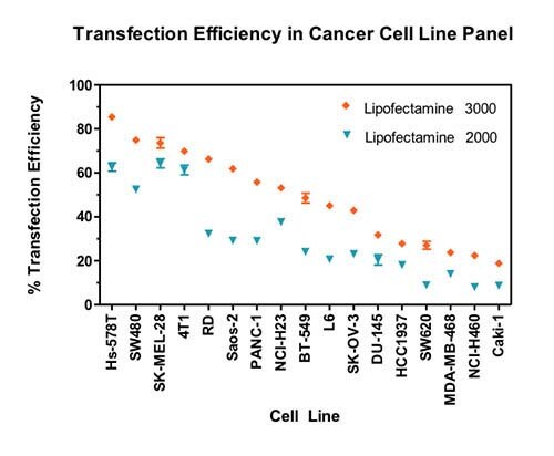 Transfection efficiency in cancer cell line panel Graph demonstrating improved transfection efficiencies for Lipofectamine 3000 compared to Lipofectamine 2000 across 17 distinct cell lines.