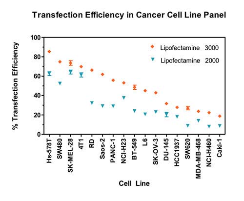 Transfection efficiency in cancer cell line panel Graph demonstrating improved transfection efficiencies for Lipofectamine 3000 compared to Lipofectamine 2000 across 17 distinct cell lines.