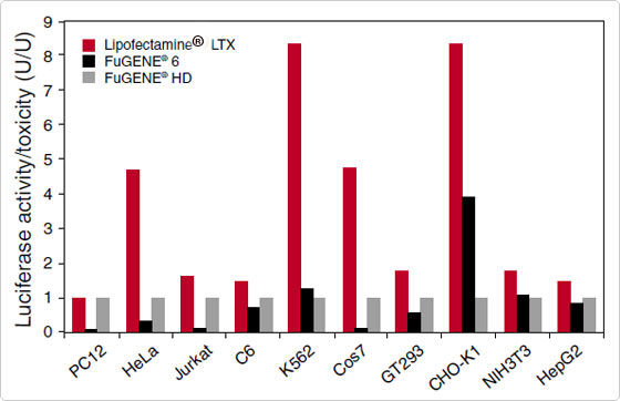 Transfection efficiency of Lipofectamine LTX vs Fugene reagent Bar graph showing transfection efficiency of Lipofectamine LTX vs Fugene reagents across ten cell lines demonstrating overall better performance of Lipofectamine LTX.