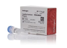 Lipofectamine RNAiMAX Reagent kit Lipofectamine RNAiMAX Reagent kit box and one tube with a blue cap