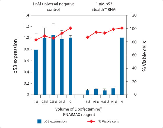Results from p53 knockdown experiment in A549 cells Bar graph showing the optimal knockdown and minimal cytotoxicity in A549 cells transfected with Lipofectamine RNAiMAX Transfection Reagent