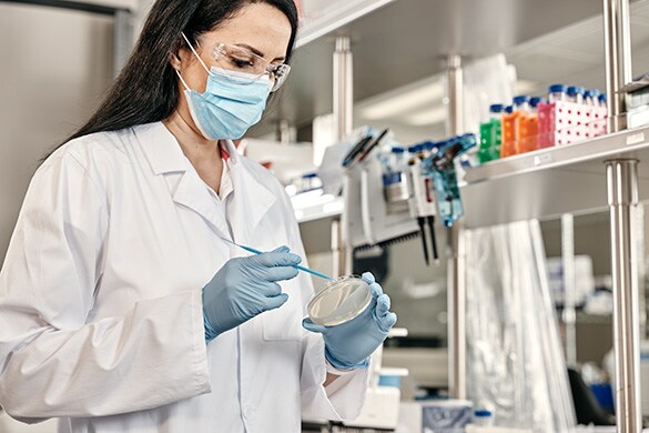 Introduction to Competent Cell Transformation Scientist holding a petri dish and cell scraper