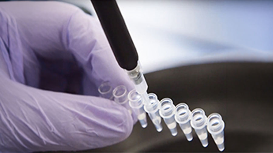 PCR basics PCR basics