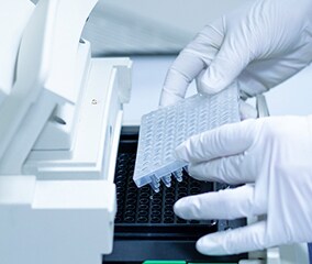 PCR Thermal Cyclers Education A gloved scientist is inserting a 384-well PCR plate into a thermal cycler PCR machine