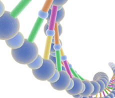 Cloning Methods Cloning Methods