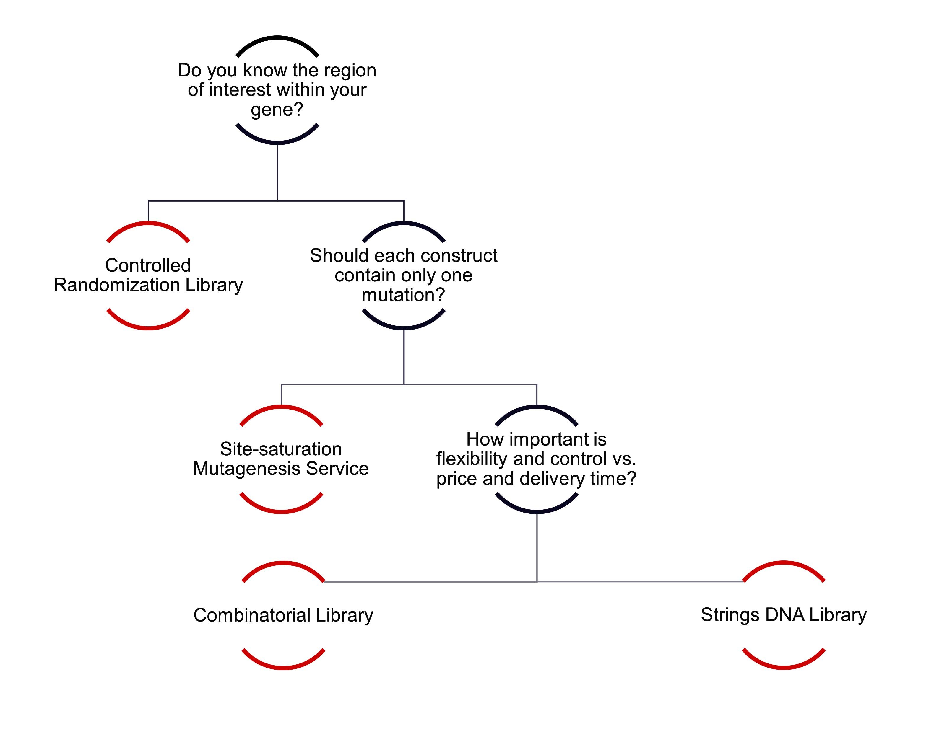 Selection guide: GeneArt mutagenesis and library synthesis services Flowchart guiding selection of GeneArt mutagenesis and library synthesis services