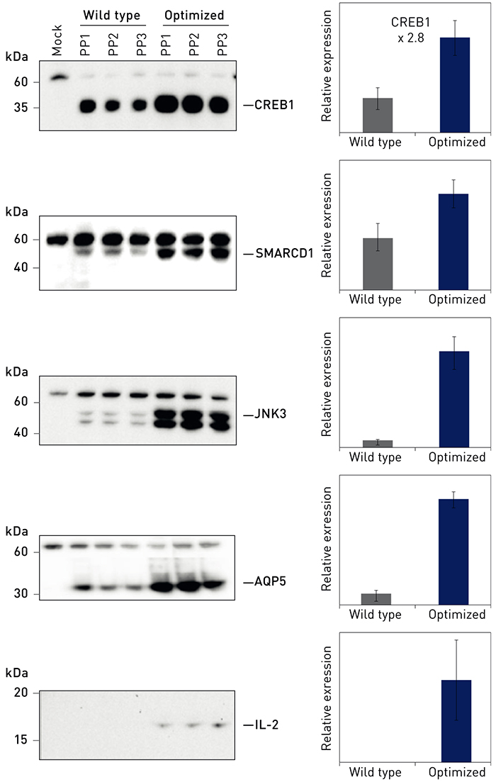 CO34472-fig4 CO34472-fig4