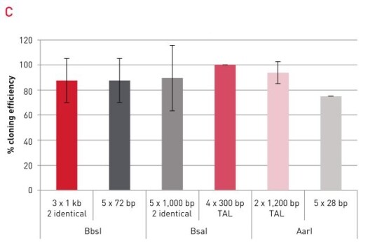 GeneArt Type IIs Assembly kits with various types of DNA inserts GeneArt Type IIs Assembly kits with various types of DNA inserts