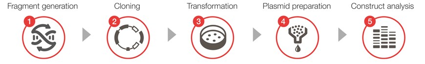 5 Steps of the Cloning Workflow Find products for your cloning experiments by exploring 5 steps of the cloning workflow