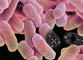 Mutagenesis Mutagenesis