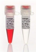 Anza 10X clear buffer and an Anza 10X red buffer Anza 10X clear buffer and an Anza 10X red buffer