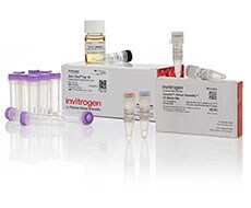 GeneArt Gibson Assembly® Cloning GeneArt Gibson Assembly® Cloning