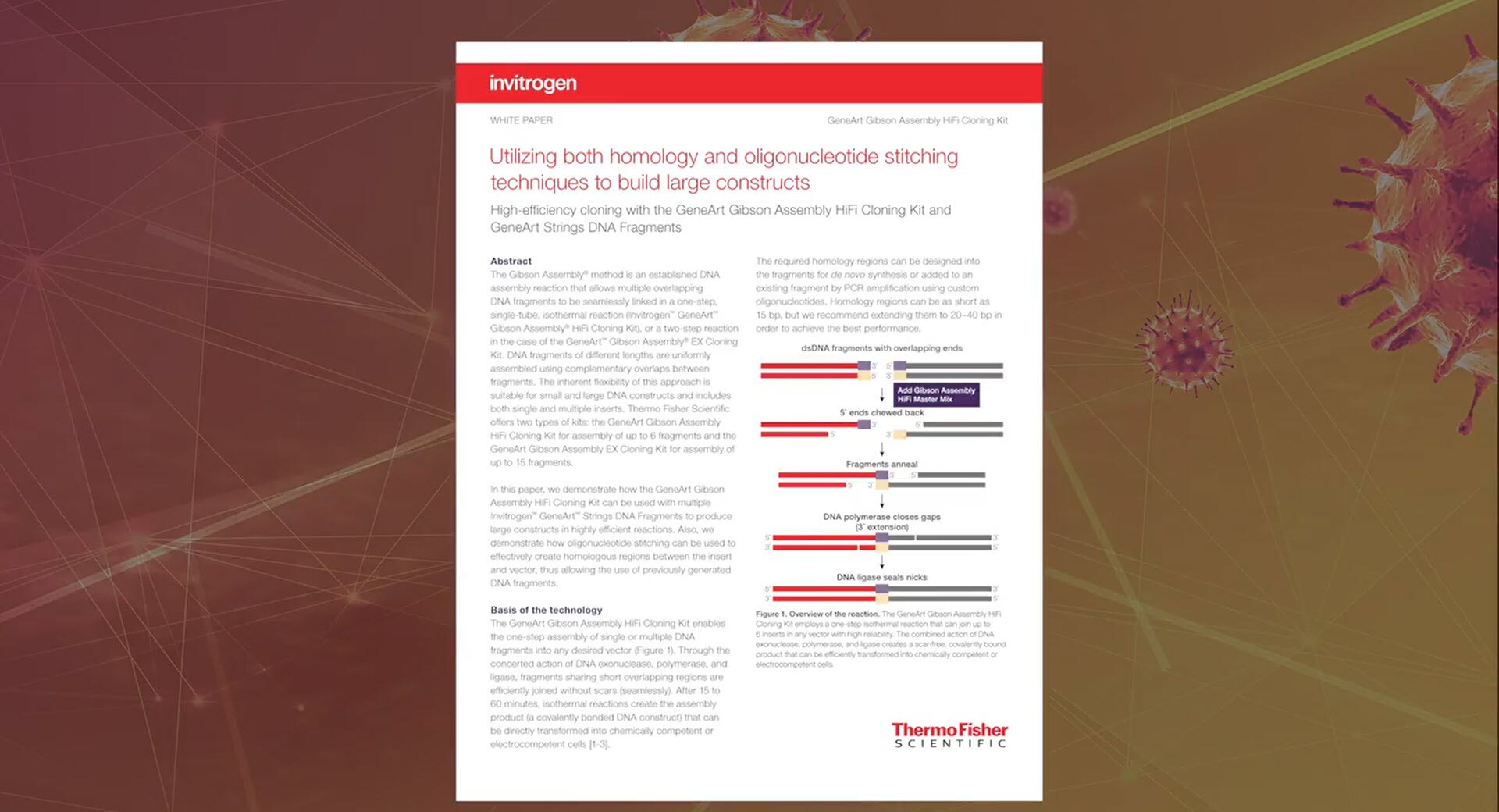 Gibson Assembly HiFi Cloning Kit video Gibson Assembly HiFi Cloning Kit video