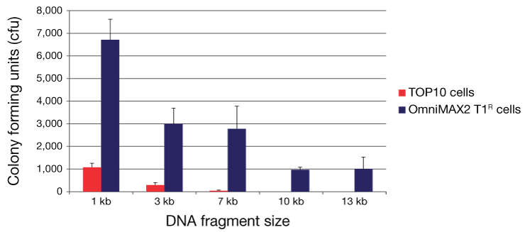 The chemically competent OmniMAX™ 2 T1R cells yield higher numbers of colony forming units (cfu) than TOP10 cells, following transformation of cloned DNA fragments. The chemically competent OmniMAX™ 2 T1R cells yield higher numbers of colony forming units (cfu) than TOP10 cells, following transformation of cloned DNA fragments.