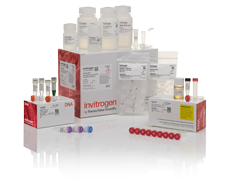 TOPO XL-2 Complete PCR Cloning Kit TOPO XL-2 Complete PCR Cloning Kit