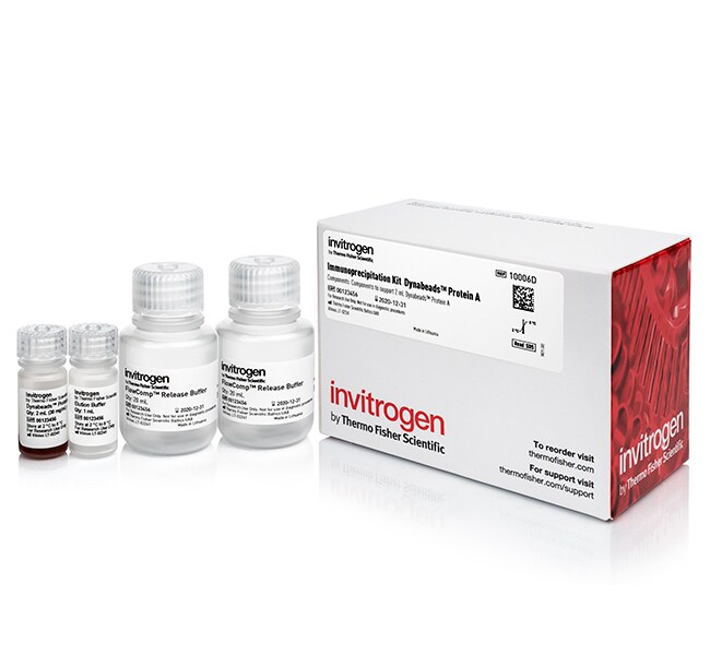 Automated protein purification Dynabeads for Immunoprecipitation with Protein A kit product photo