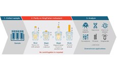 Kingfisher instruments support downstream applications How a Kingfisher automated sample prep system is set up