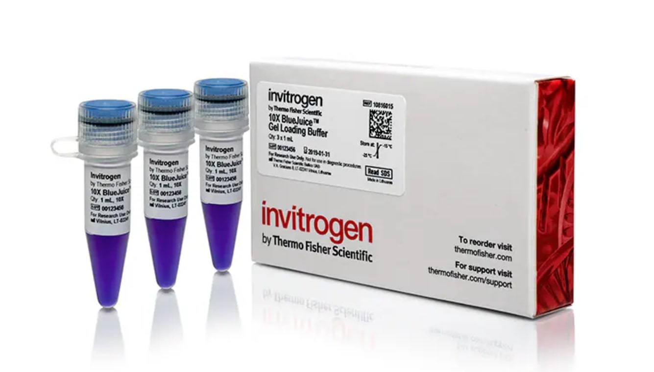 Loading buffer for agarose gel DNA electrophoresis Product photo. Three tubes of BlueJuiceGel Loading buffer placed adjacent to product package