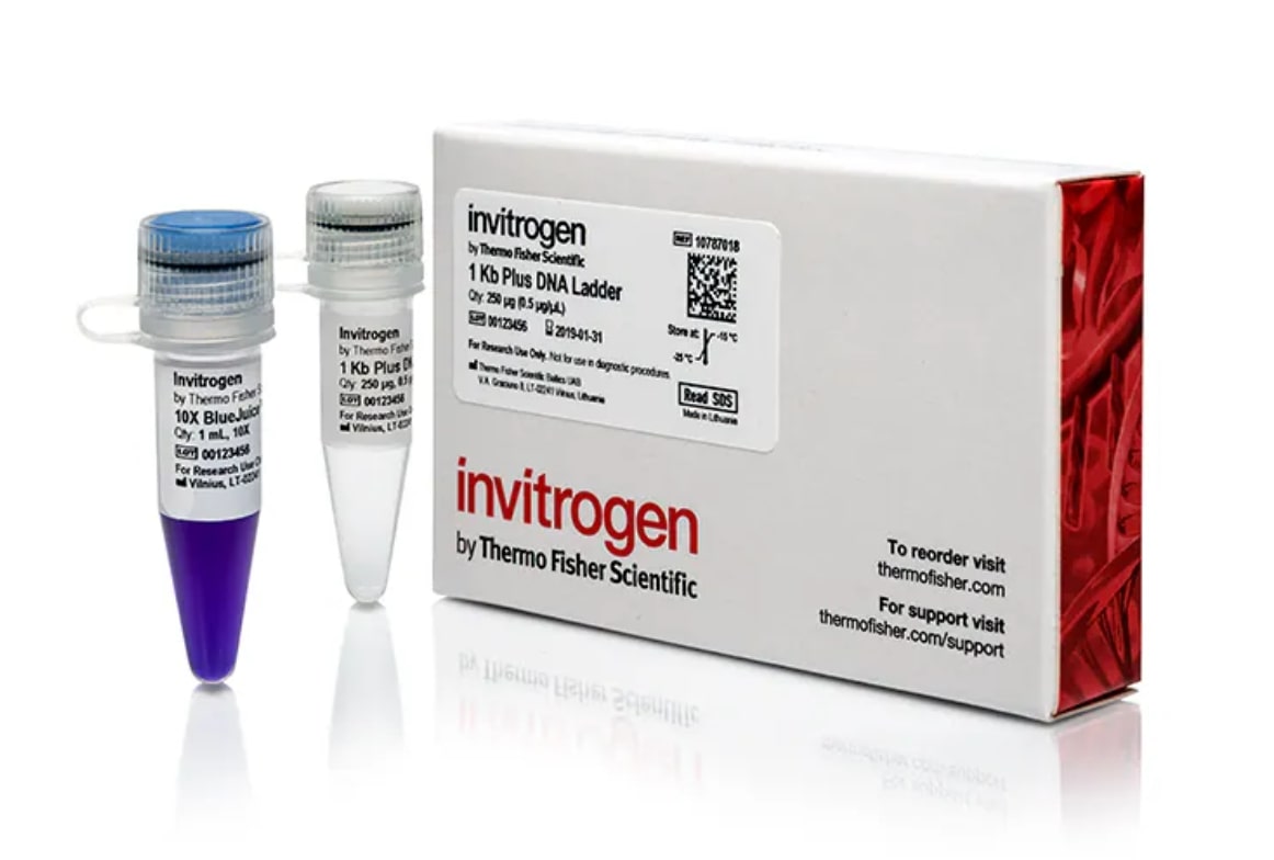 Invitrogen DNA ladder Product photo with one tube of 1 kb ladder, one tube of BlueJuice buffer, and product package