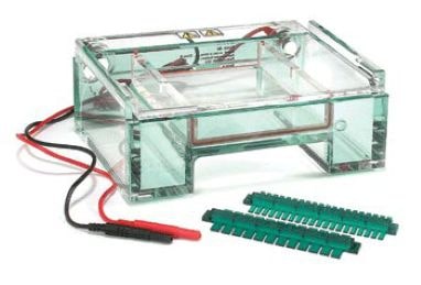 Easy cast horizontal electrophoresis system Product photo. Green electrophoresis tank and two green combs