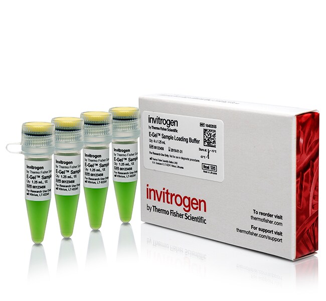 E-Gel Sample Loading Buffer Product photo. Product package and four tubes of buffers