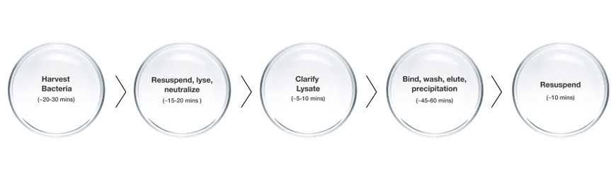 Traditional pDNA purification workflow Traditional plasmid DNA purification