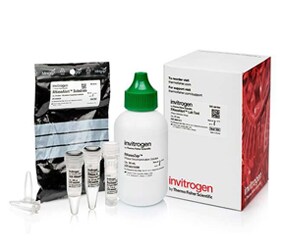 RNaseAlert Lab Test Kit RNaseAlert Lab Test Kit product photo with small tubes, vials, a bottle, bagged reagent, and packaging