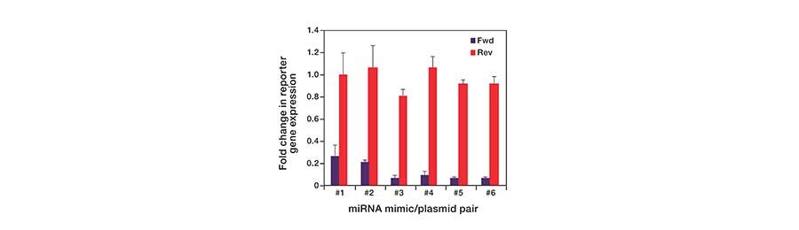 miRNA mimics demonstrate high specificity bar graph showing fold change in reporter gene expression