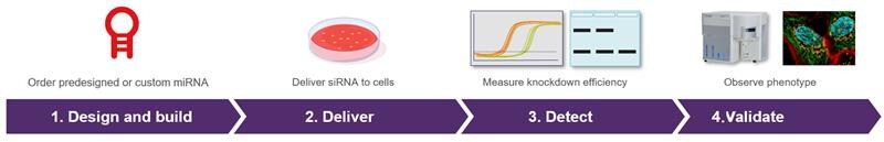 miRNA workflow icons representing 3 steps in miRNA workflow